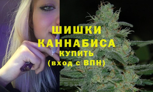 твердый Надым