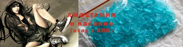 прущие грибы Наволоки