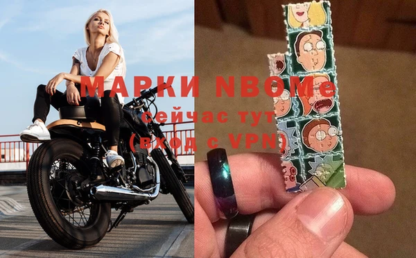 гашик Алексин