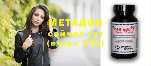 гашик Алексин