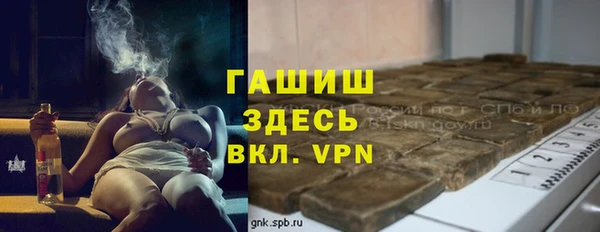 гашик Алексин