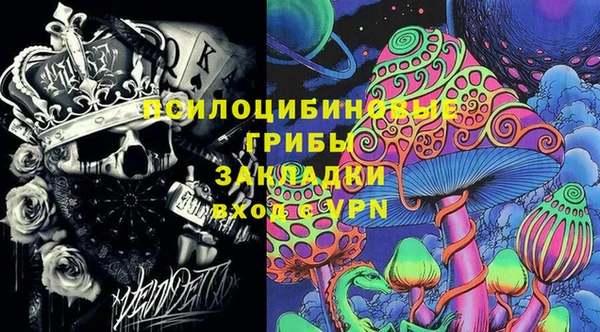 spice Алзамай
