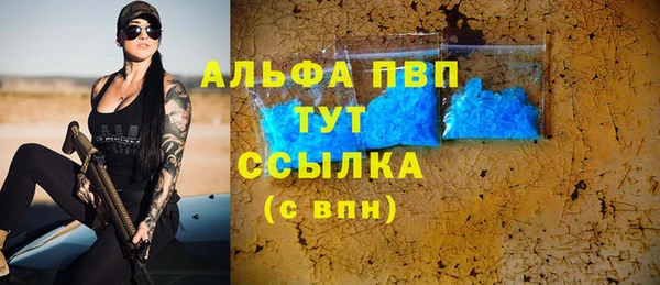 прущие грибы Наволоки