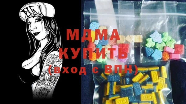 гашик Алексин