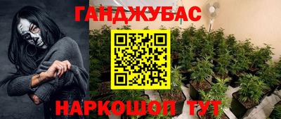 шишки Нальчик