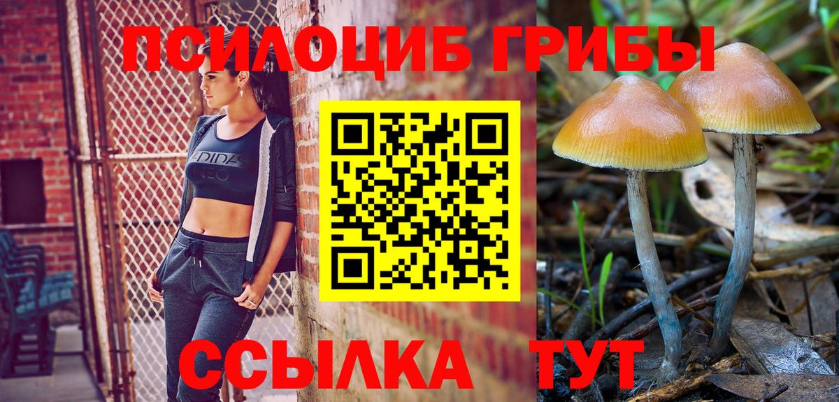 Псилоцибиновые грибы мухоморы  Вход с VPN  Махачкала  Галлюциногенные грибы мухоморы 