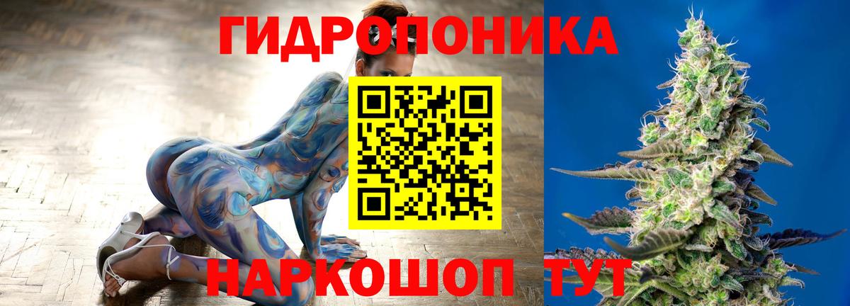 Шишки марихуана Ganja Махачкала